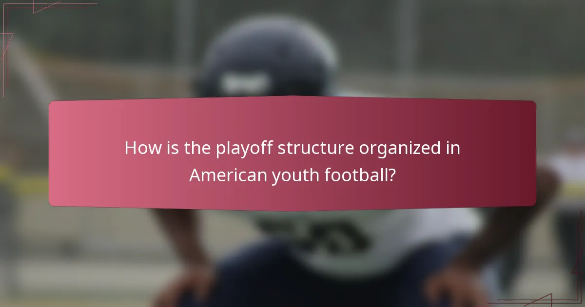 How is the playoff structure organized in American youth football?